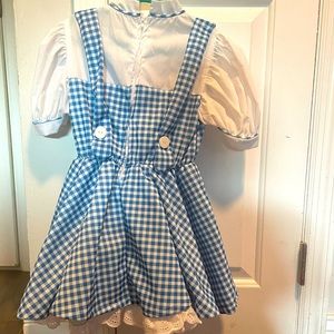 Dorothy (Wizard of Oz) Costume - children’s small (4/5)